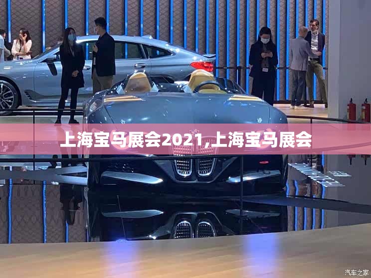 上海宝马展会2021,上海宝马展会