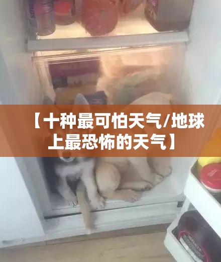 【十种最可怕天气/地球上最恐怖的天气】