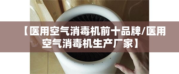 【医用空气消毒机前十品牌/医用空气消毒机生产厂家】