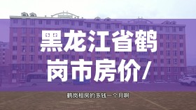 黑龙江省鹤岗市房价/黑龙江省鹤岗市房价为啥那么便宜