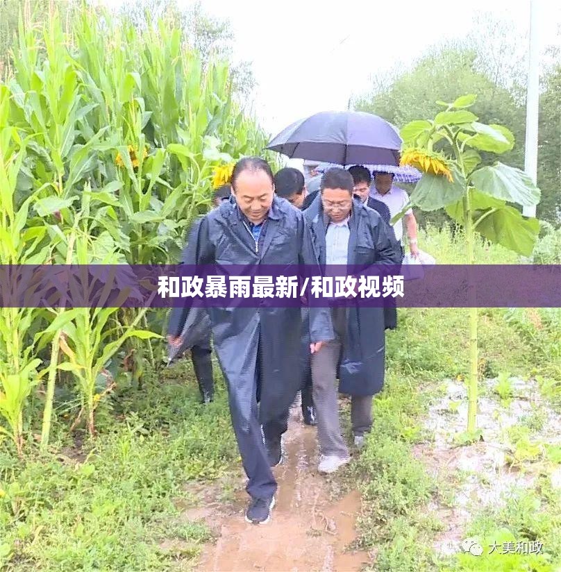 高端羽绒服十大名牌排名