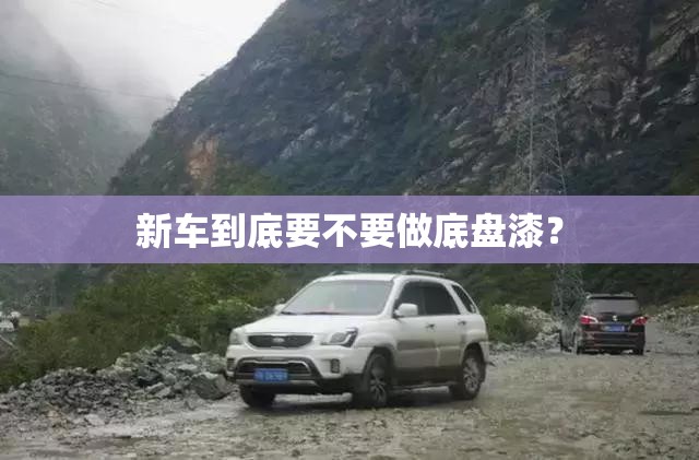 台风梅花是怎么来的