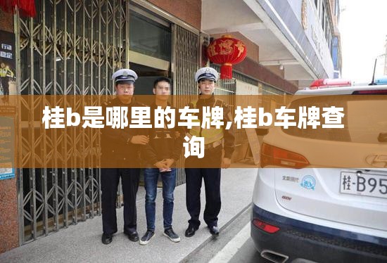 桂b是哪里的车牌,桂b车牌查询
