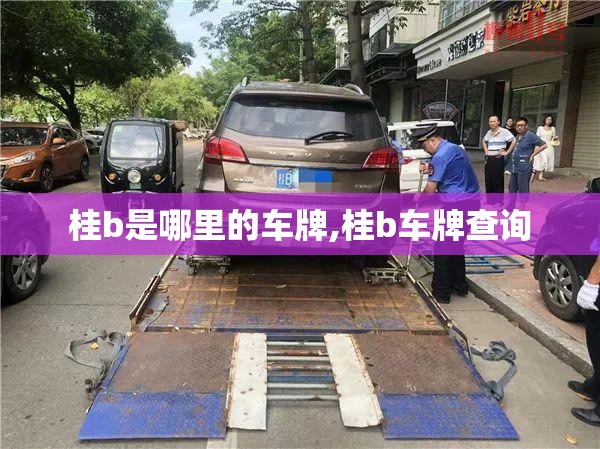 桂b是哪里的车牌,桂b车牌查询