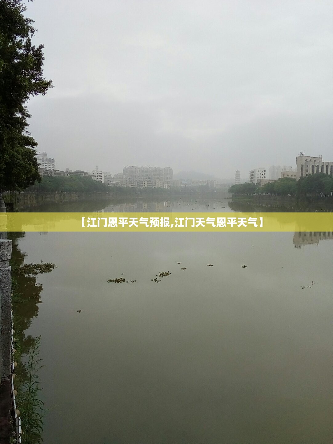 【医用空气消毒机前十品牌/医用空气消毒机生产厂家】