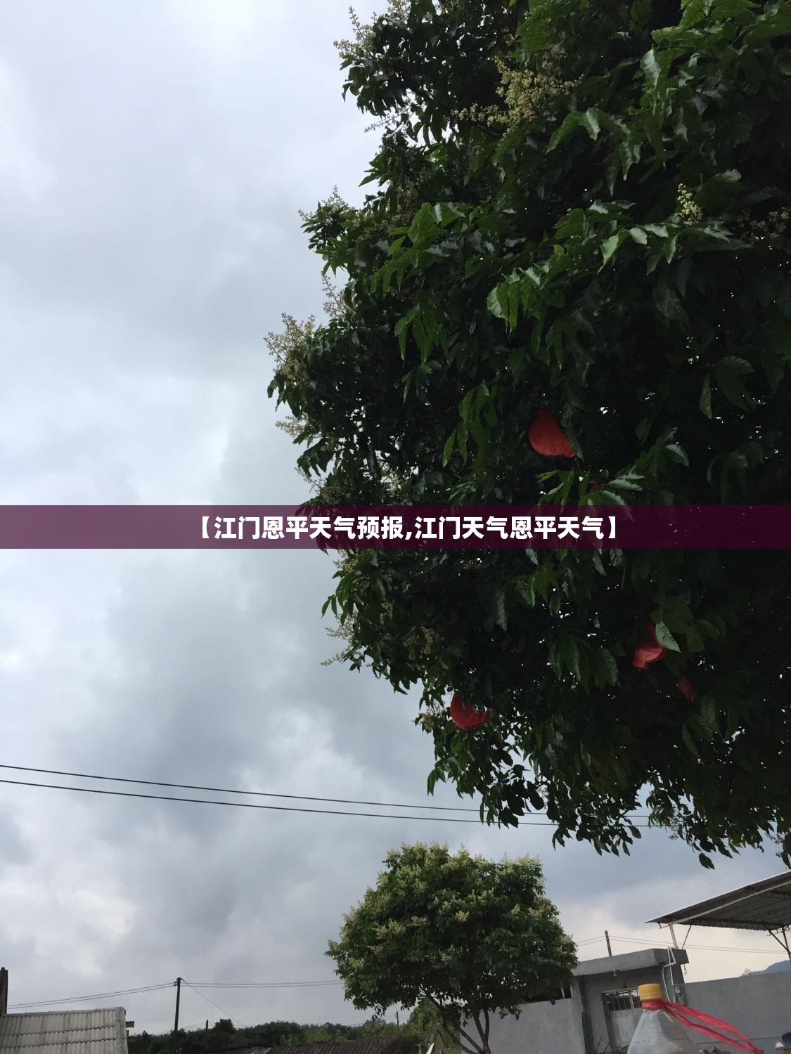 【江门恩平天气预报,江门天气恩平天气】