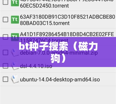 新车到底要不要做底盘漆？