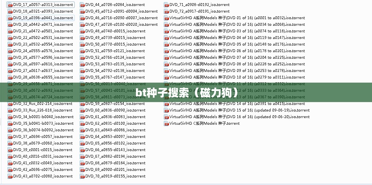 bt种子搜索(磁力狗) bt种子搜索(磁力狗)