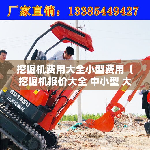 挖掘机费用大全小型费用（挖掘机报价大全 中小型 大型）