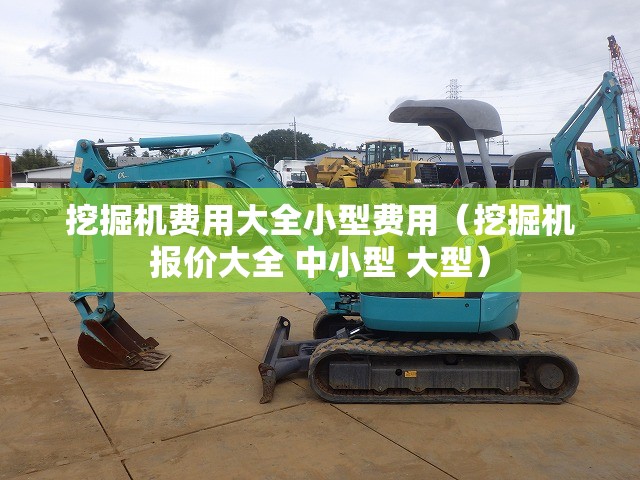 挖掘机费用大全小型费用（挖掘机报价大全 中小型 大型）