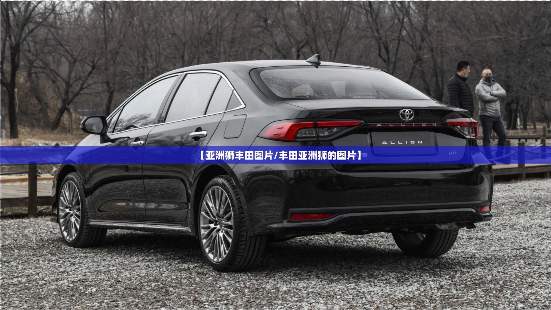 【亚洲狮丰田图片/丰田亚洲狮的图片】