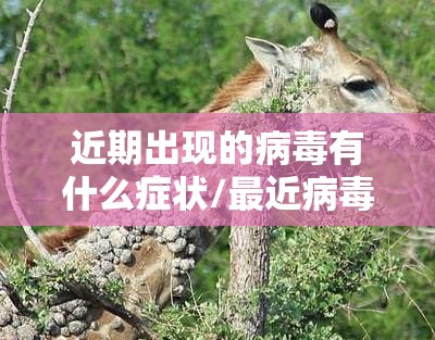 大众朗逸2020年新款多少钱/大众朗逸 新款多少钱