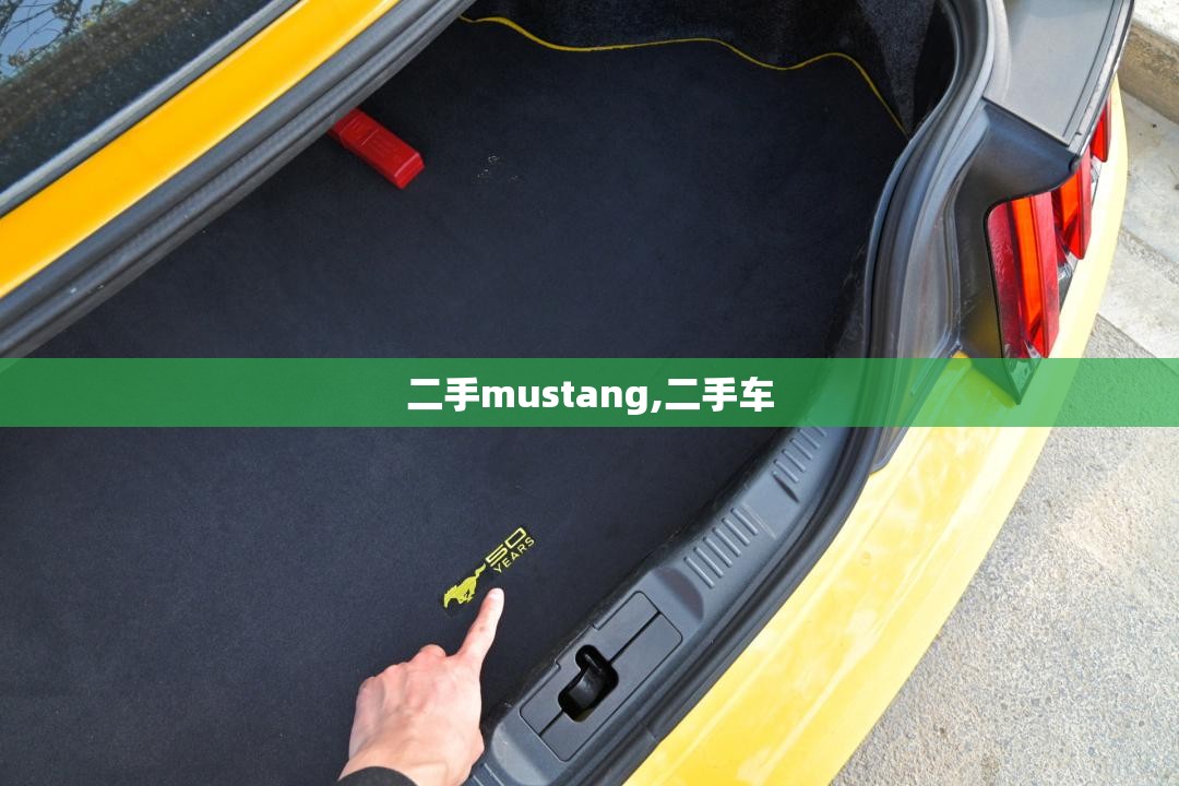 二手mustang,二手车