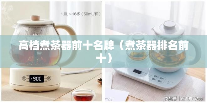 高档煮茶器前十名牌（煮茶器排名前十）