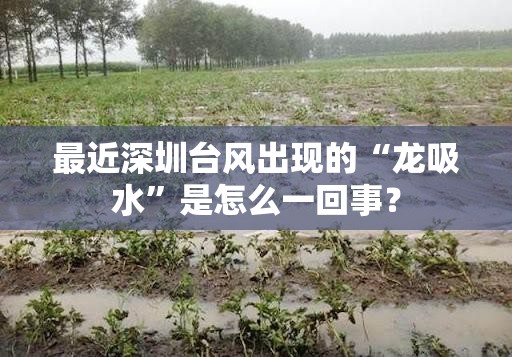 新款奥迪Q5L将于5月底上市 造型细节有所调整