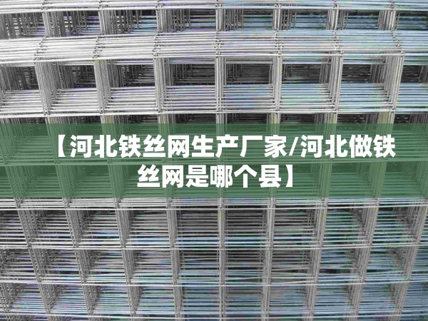 【河北铁丝网生产厂家/河北做铁丝网是哪个县】