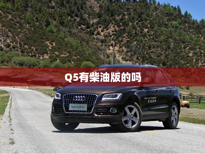Q5有柴油版的吗 Q5有柴油版的吗