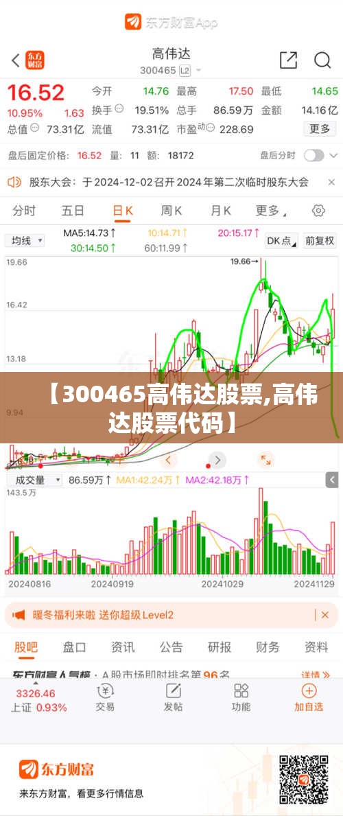 【300465高伟达股票,高伟达股票代码】