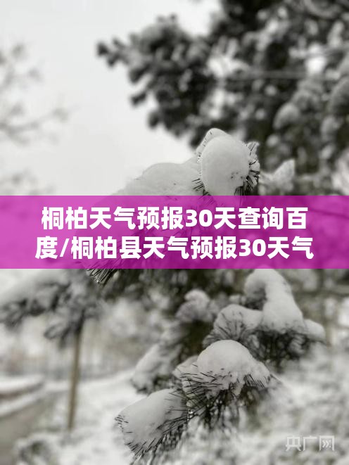买玩具哪个平台便宜（买玩具哪个平台便宜又质量好）