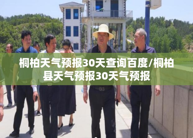 桐柏天气预报30天查询百度/桐柏县天气预报30天气预报