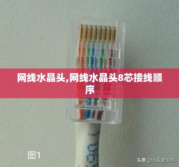【河北铁丝网生产厂家/河北做铁丝网是哪个县】