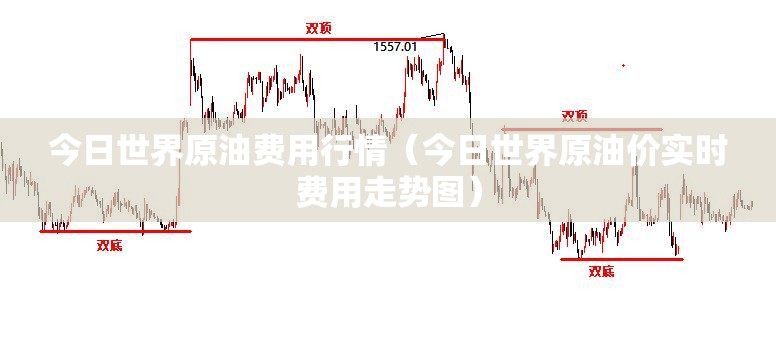 今日世界原油费用行情（今日世界原油价实时费用走势图）