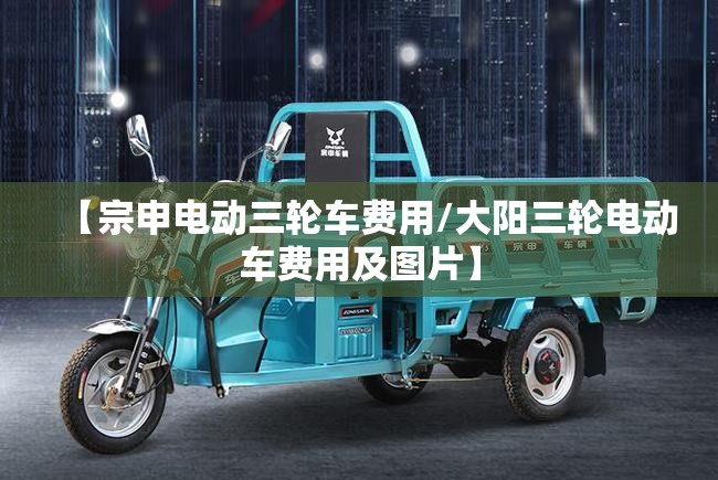 【宗申电动三轮车费用/大阳三轮电动车费用及图片】