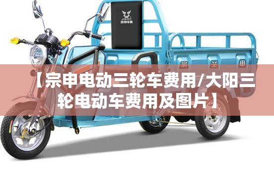 【宗申电动三轮车费用/大阳三轮电动车费用及图片】