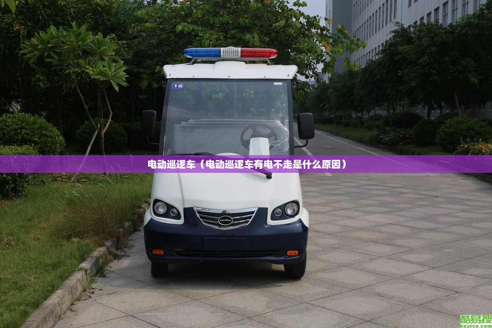 电动巡逻车（电动巡逻车有电不走是什么原因）