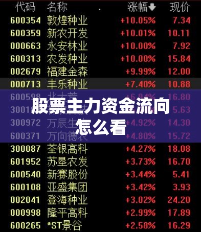 股票主力资金流向怎么看