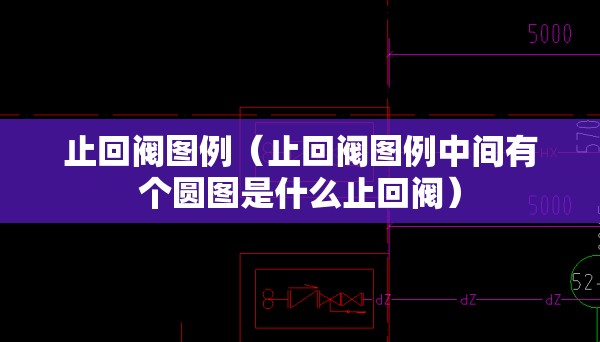 止回阀图例（止回阀图例中间有个圆图是什么止回阀）