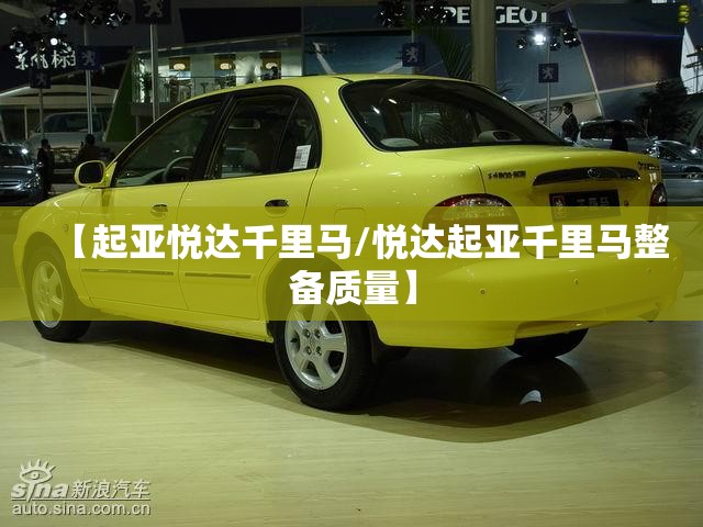 电动巡逻车（电动巡逻车有电不走是什么原因）