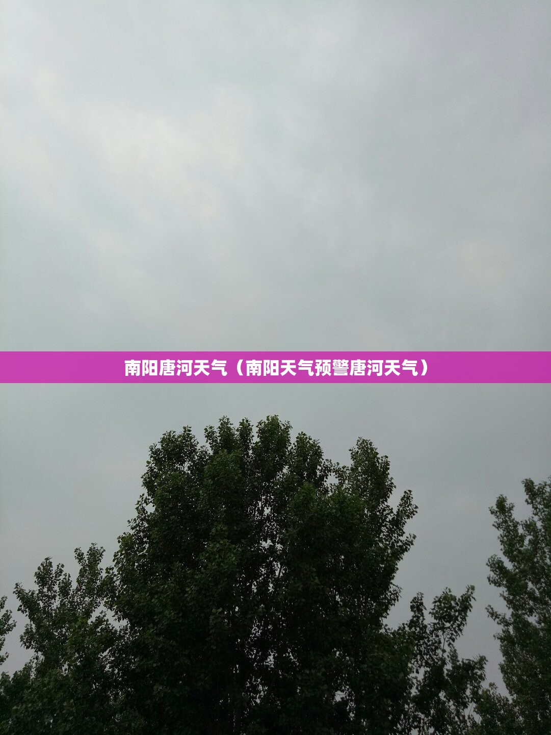 南阳唐河天气（南阳天气预警唐河天气）