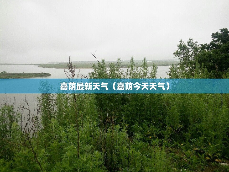 止回阀图例（止回阀图例中间有个圆图是什么止回阀）