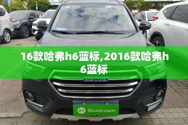商水天气预报40天未来（商水天气预报一周天气）