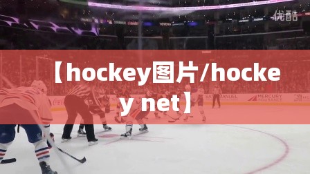 【hockey图片/hockey net】
