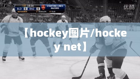 【hockey图片/hockey net】