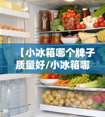 【小冰箱哪个牌子质量好/小冰箱哪个牌子质量好又省电】