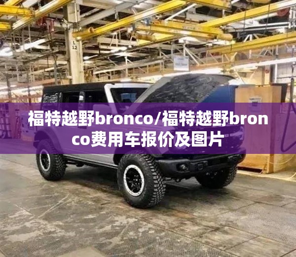 福特越野bronco/福特越野bronco费用车报价及图片
