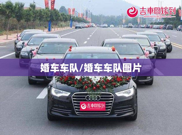 婚车车队/婚车车队图片