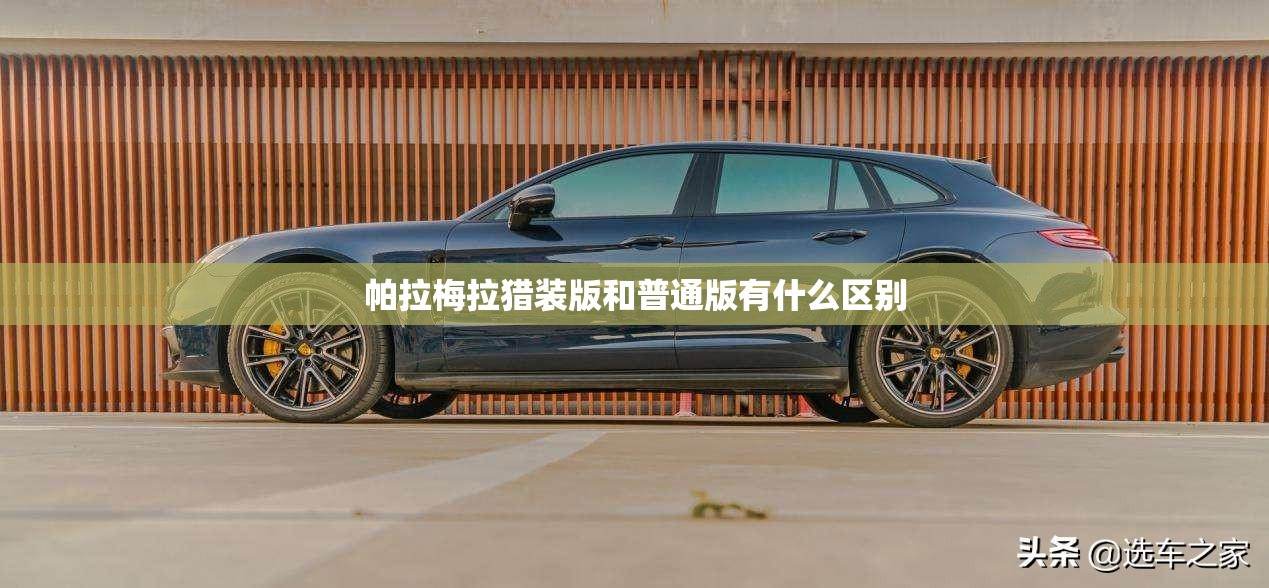 【公主玩具/公主玩具动画片视频】