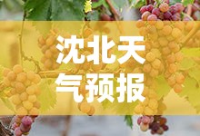 沈北天气预报(铁岭天气预报) 沈北天气预报(铁岭天气预报)