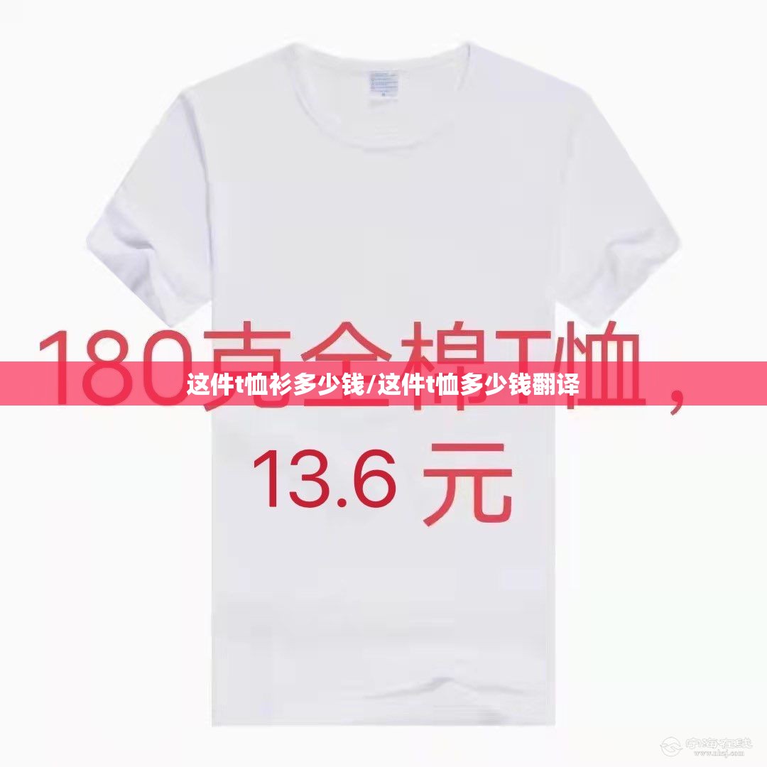 这件t恤衫多少钱/这件t恤多少钱翻译