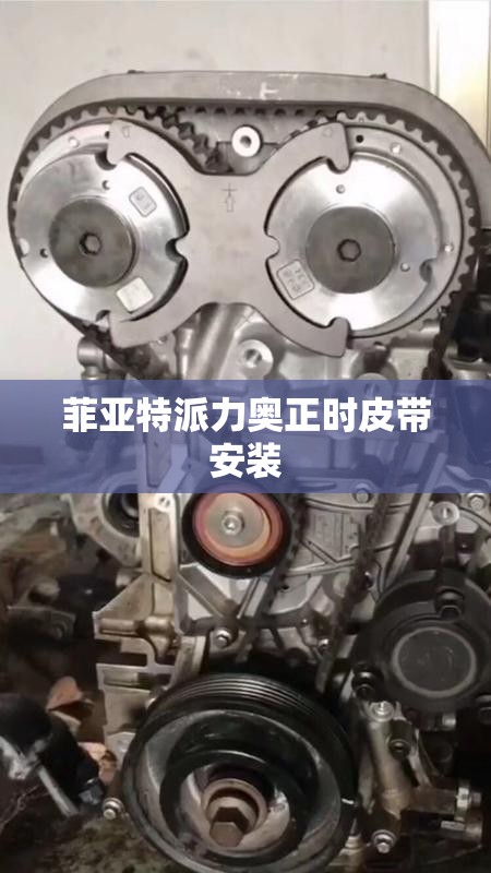 菲亚特派力奥正时皮带安装