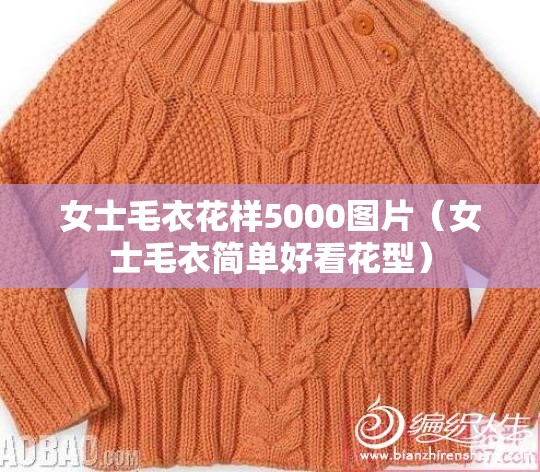 女士毛衣花样5000图片（女士毛衣简单好看花型）