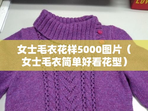 女士毛衣花样5000图片（女士毛衣简单好看花型）
