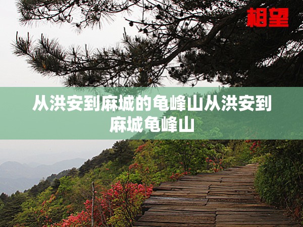 从洪安到麻城的龟峰山从洪安到麻城龟峰山 从洪安到麻城的龟峰山从洪安到麻城龟峰山