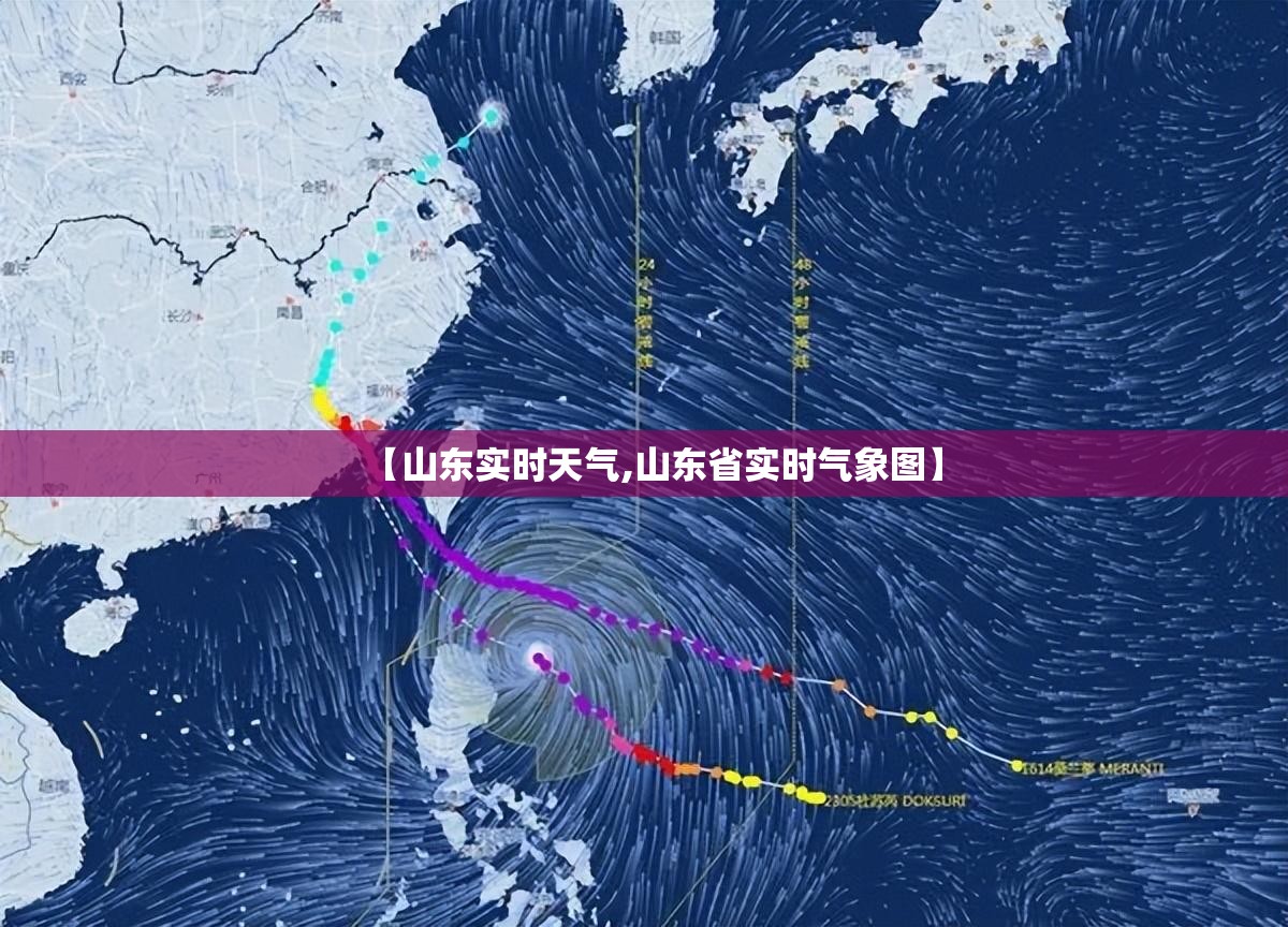 【山东实时天气,山东省实时气象图】