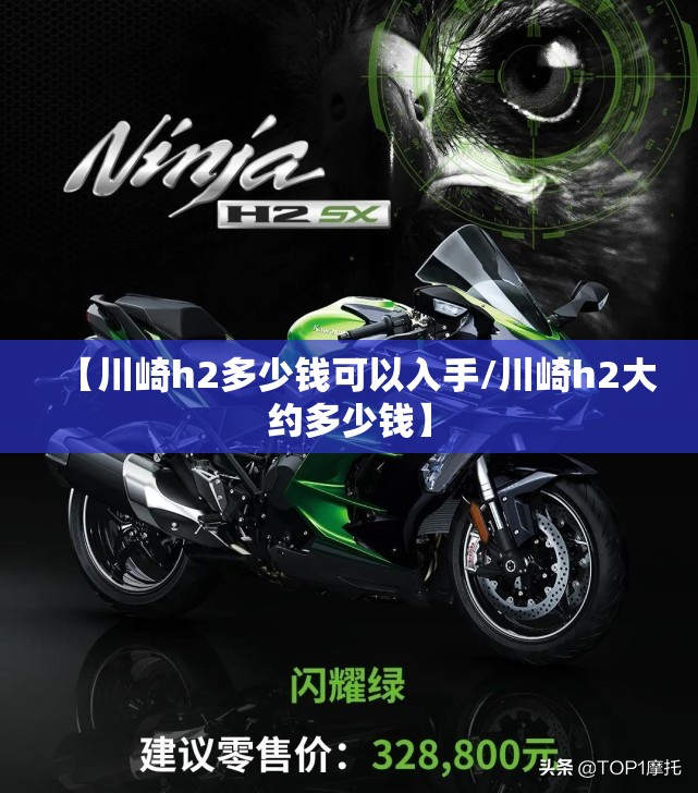 【川崎h2多少钱可以入手/川崎h2大约多少钱】