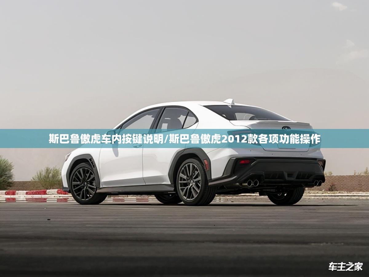 围裙款式种类